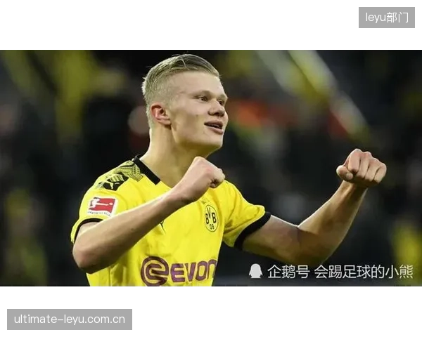 挪威首战面临攻坚考验,哈兰德将与伊拉克防线核心苏拉卡展开激烈身体对抗。 挪威首战面临攻坚考验,哈兰德将与伊拉克防线核心苏拉卡展开激烈身体对抗。